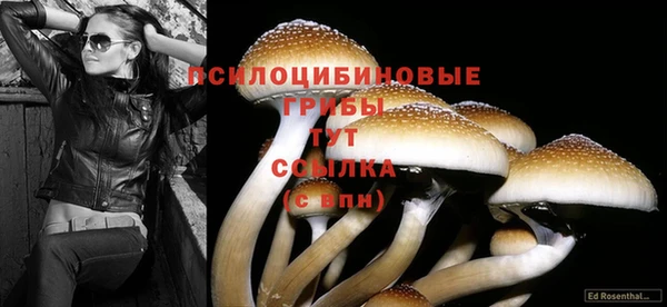 ALPHA PVP Алексин