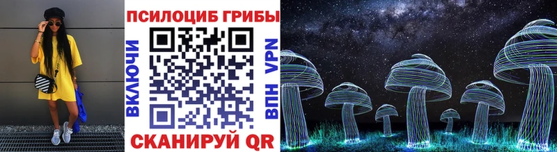 Галлюциногенные грибы Psilocybe  Купить где  Междуреченск 